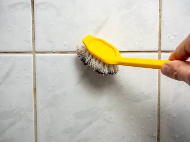 Best Mold Removal Near Me  in Hearne, TX