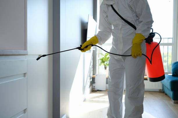 Best Certified Mold Removal  in Hearne, TX