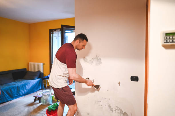 Best Commercial Mold Removal  in Hearne, TX